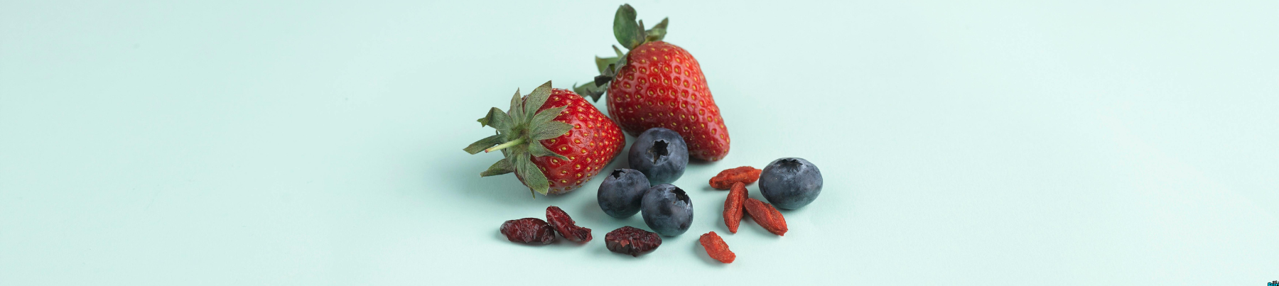 Superfood Ingredients