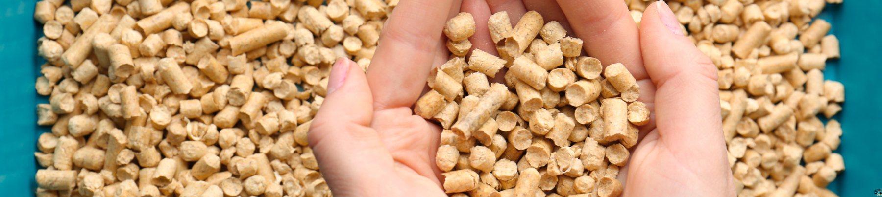Wood Pellet Litter