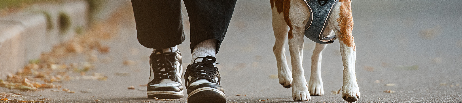 Walking Essentials
