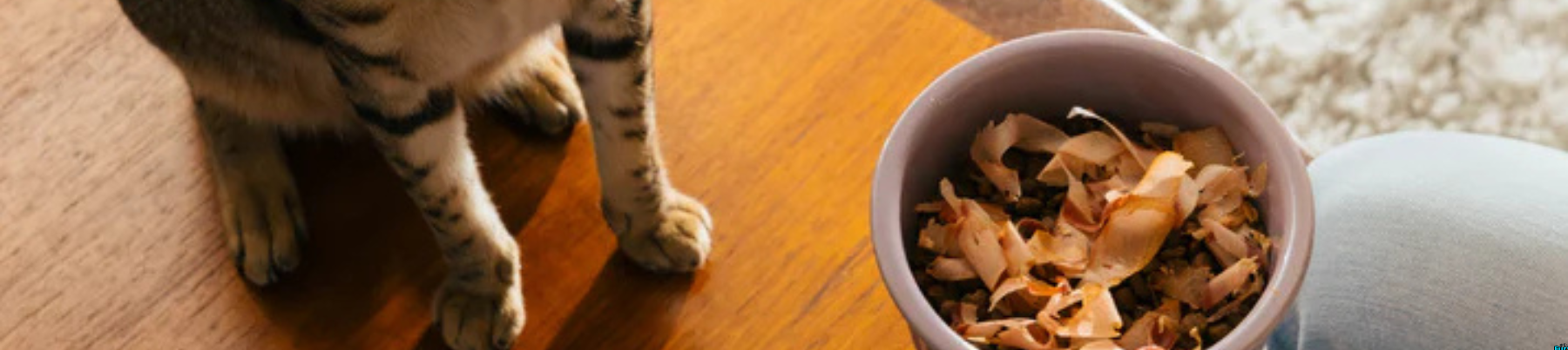 Earthly Cat Sushi