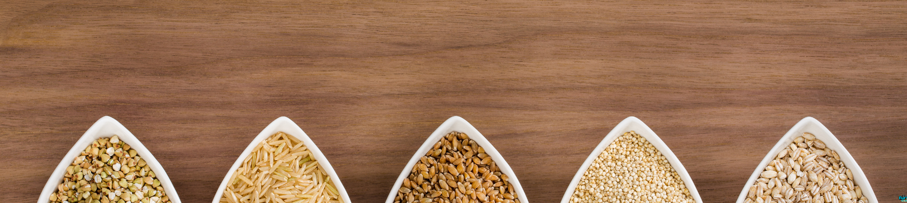 Dry Dog Food -  Grain Inclusive