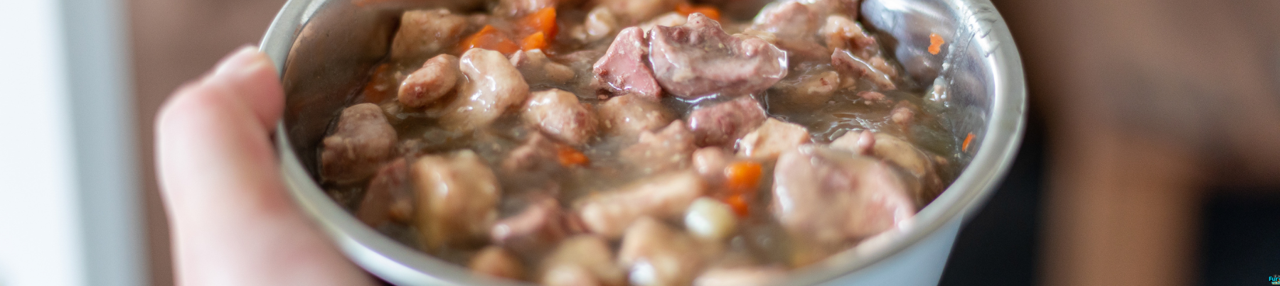 Wet Food for Dogs