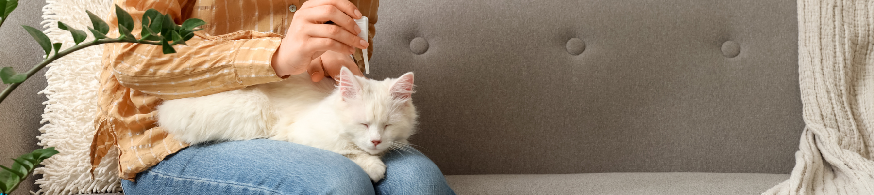 Flea & Tick Treatment & Prevention - Collars and Topical Treatment