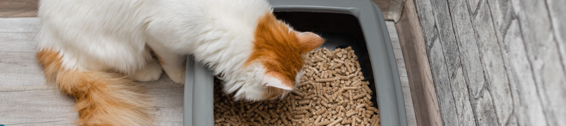 Cat Litter - Litter Pans & Boxes