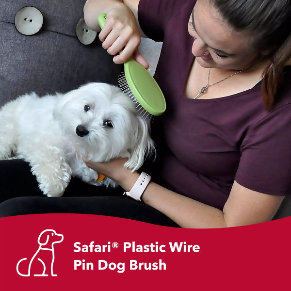 COASTAL Dog - Safari Wire Pin Brush