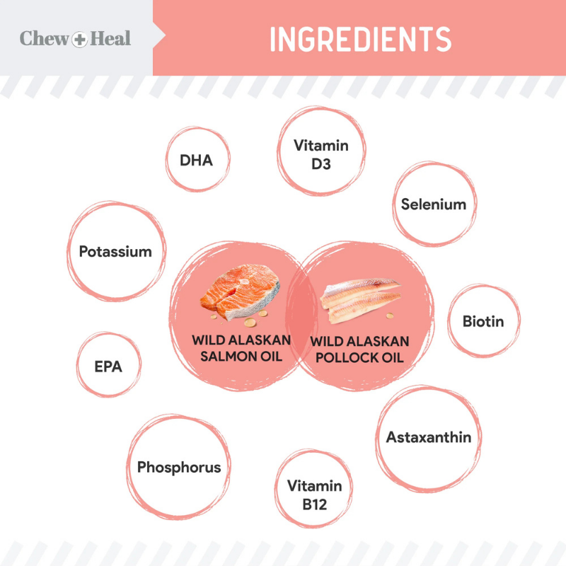 CHEW+HEAL Dog - Wild Alaskan Salmon Oil 8oz