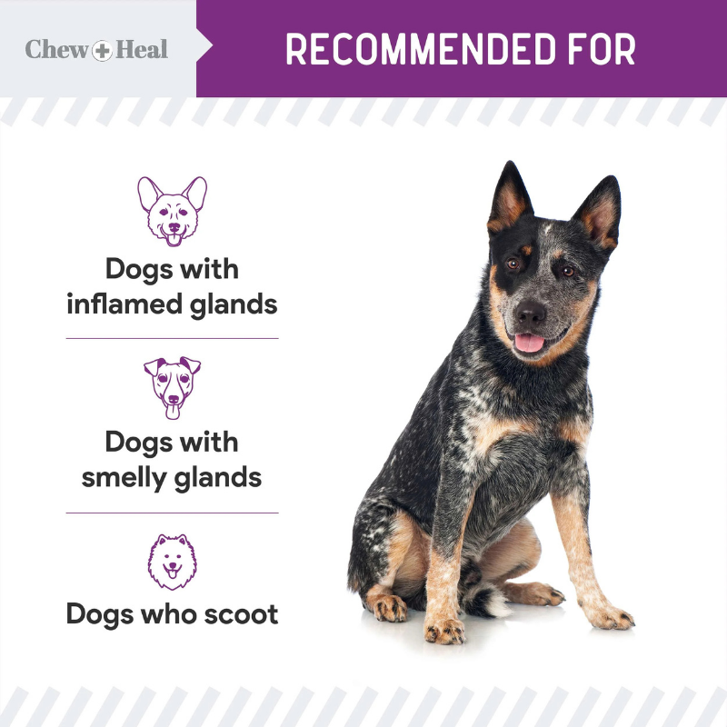 CHEW+HEAL Dog - Stop The Scoot - 120ct