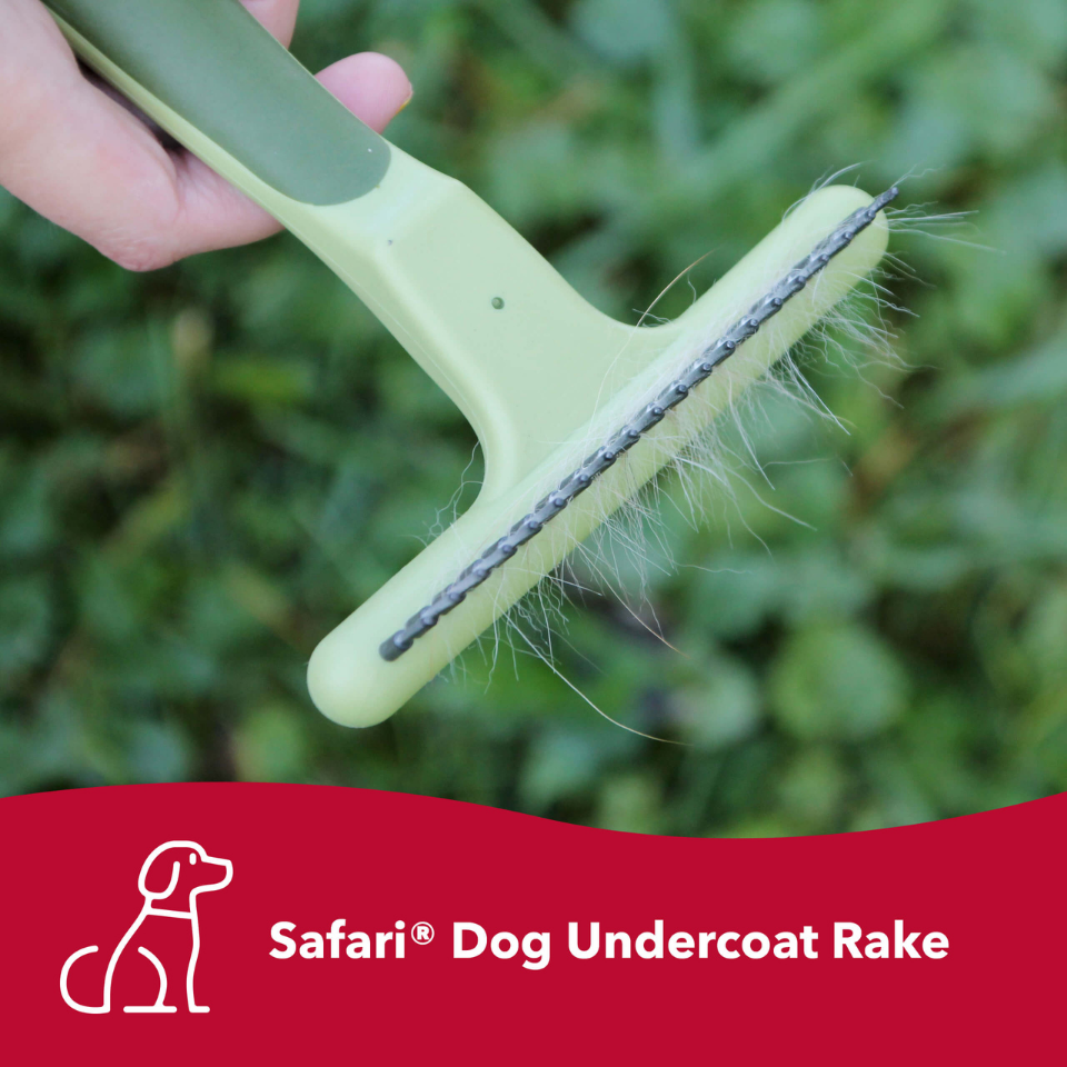 COASTAL Dog - Safari Undercoat Rakes