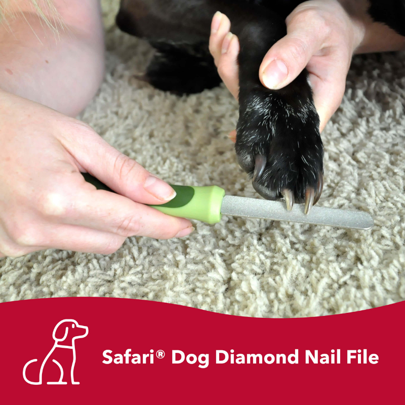 COASTAL Dog - Safari Diamond Nail File
