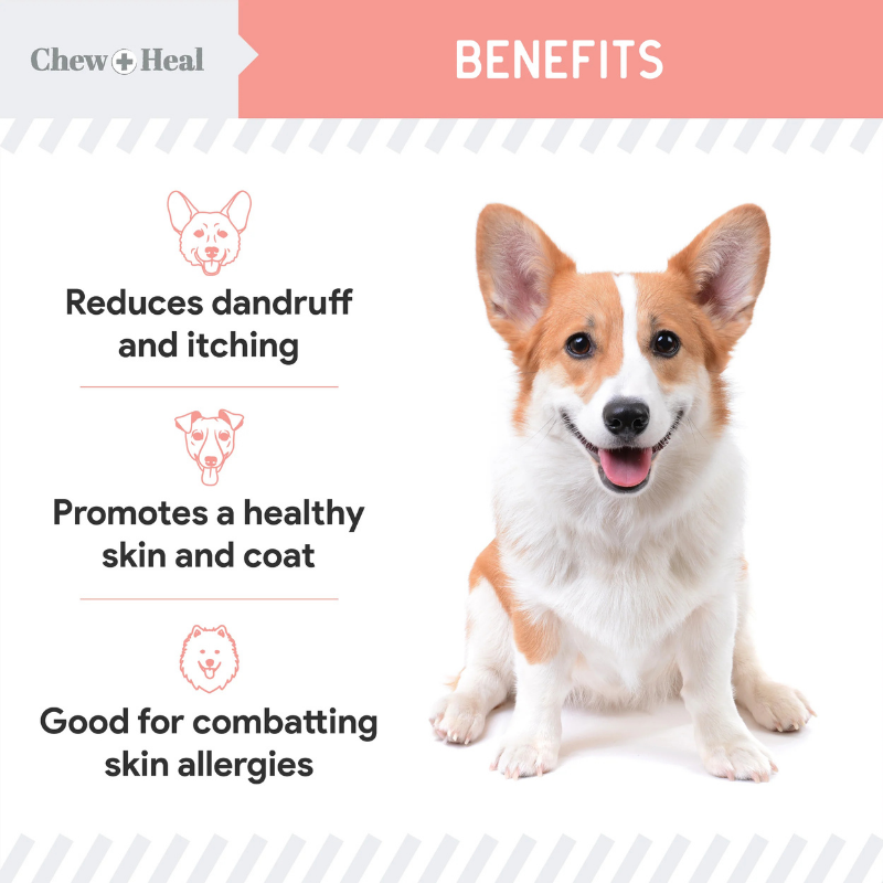 CHEW+HEAL Dog - Wild Alaskan Salmon Oil 8oz