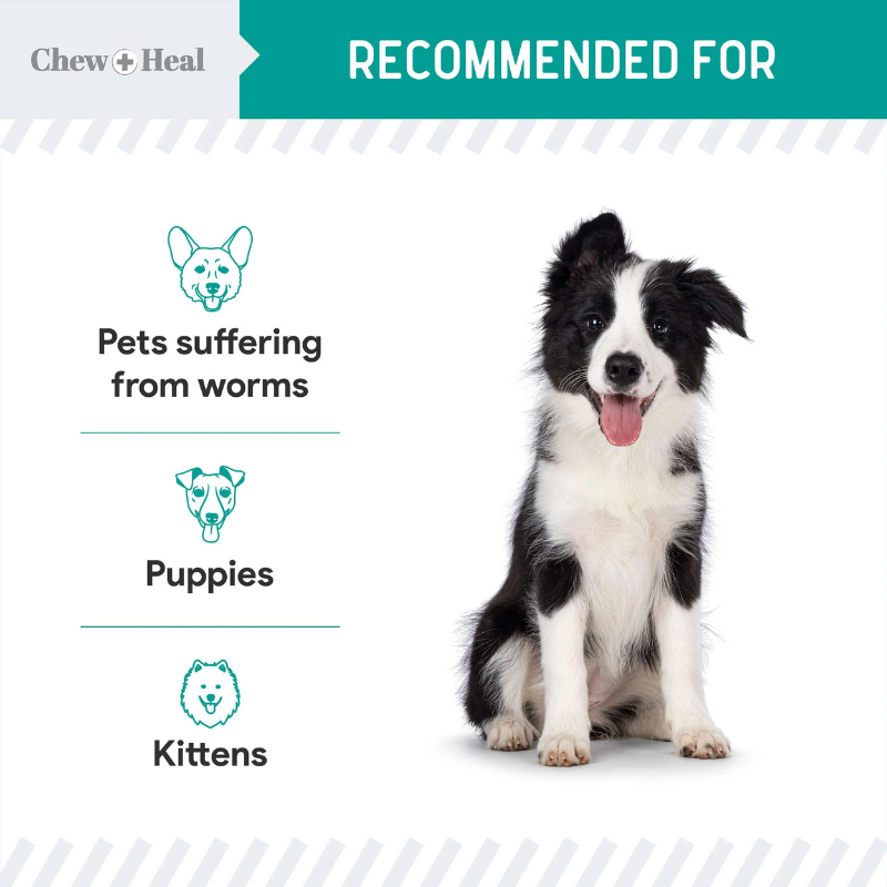 CHEW+HEAL Dog & Cat - Stop The Worms 4oz
