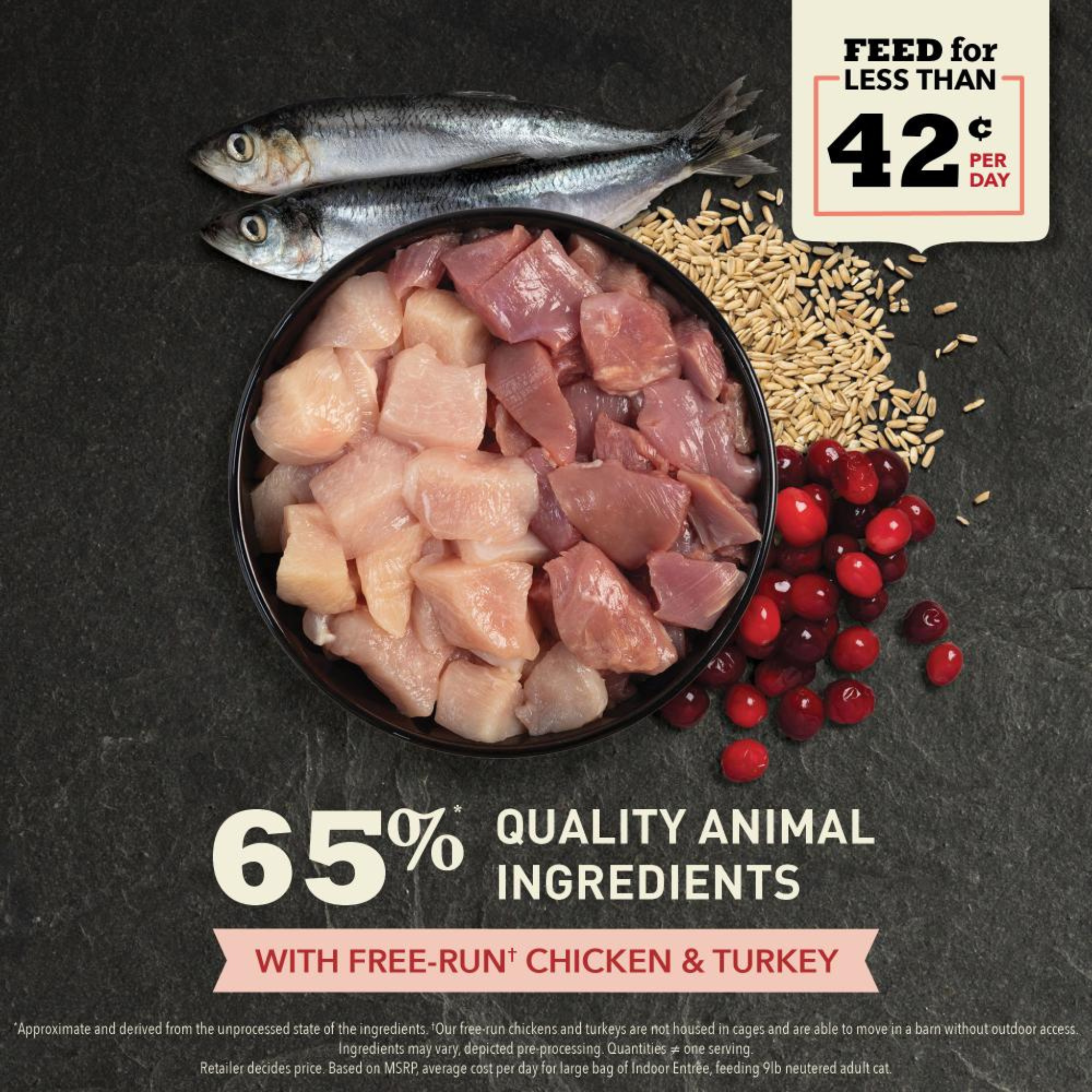 ACANA Cat - Indoor Entree Chicken and Turkey Dry Food