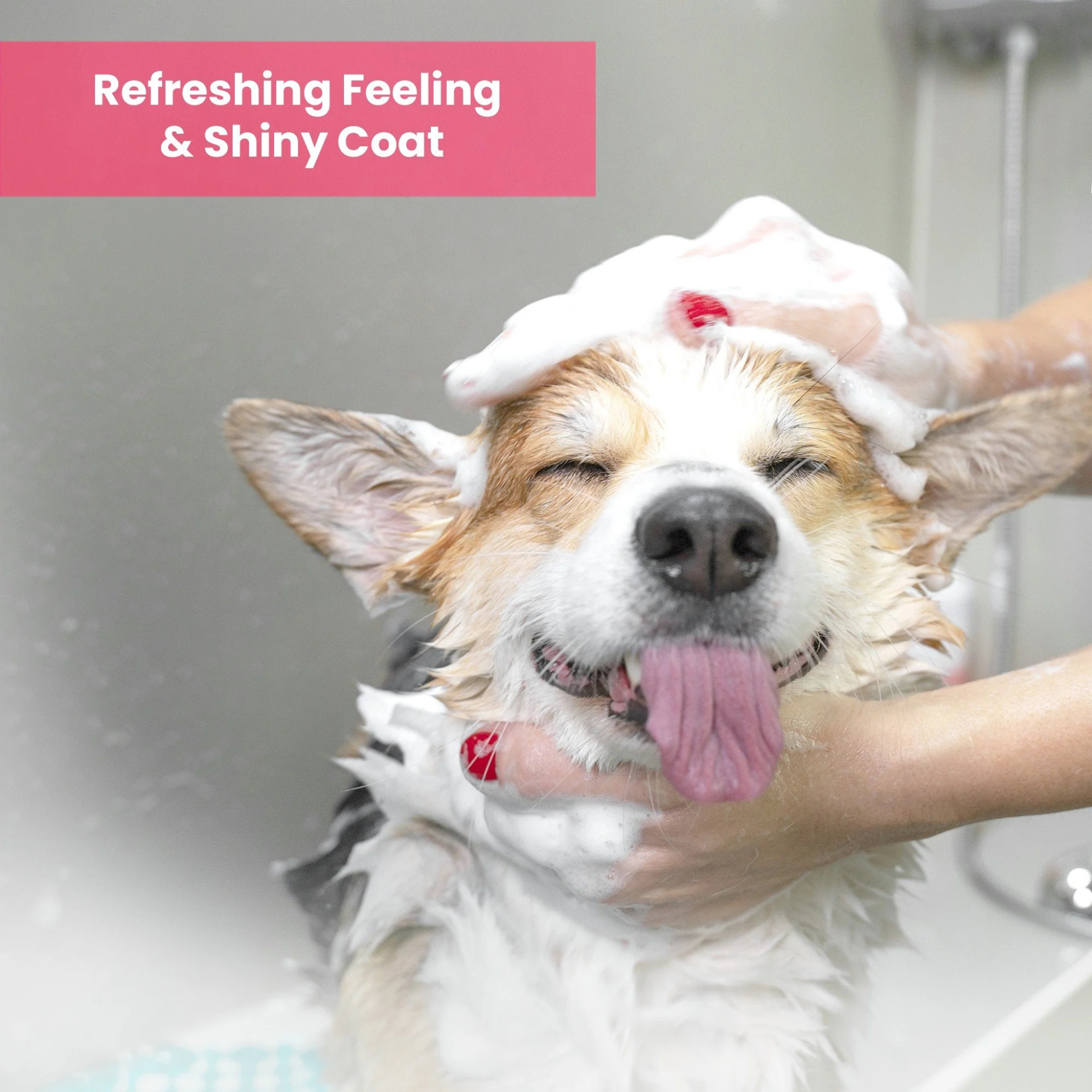 AROMA PAWS Dog - Pomegranate Cucumber Shampoo 13.5 oz