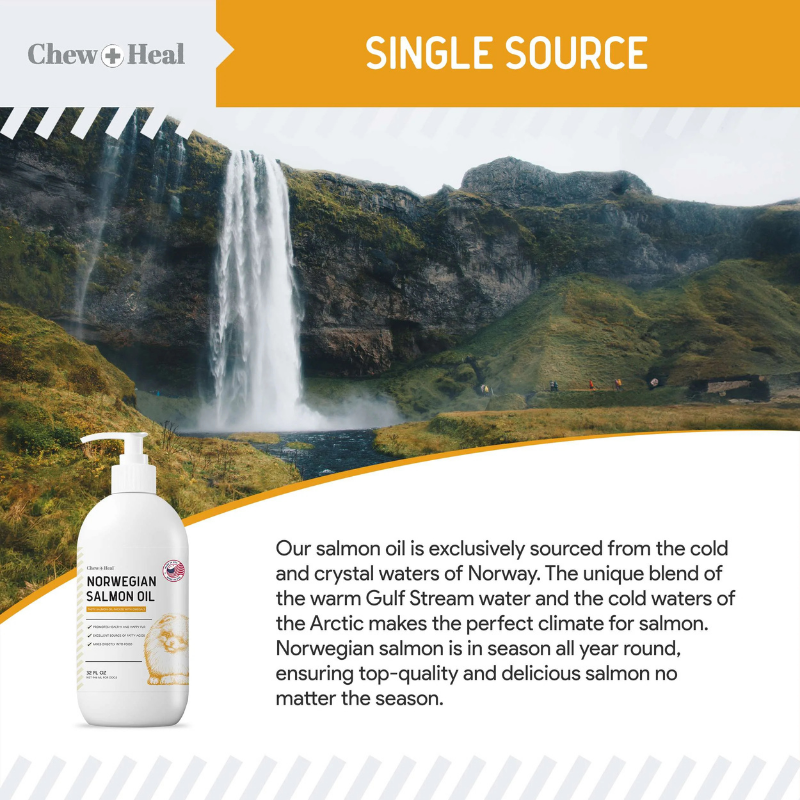 CHEW+HEAL Dog - Norwegian Salmon Oil 8oz
