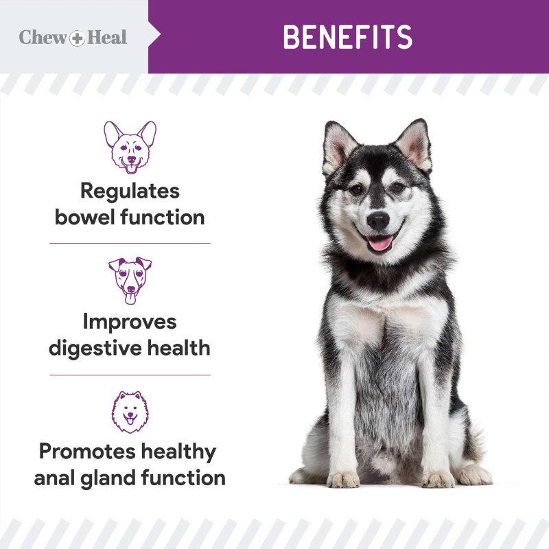 CHEW+HEAL Dog - Stop The Scoot - 120ct