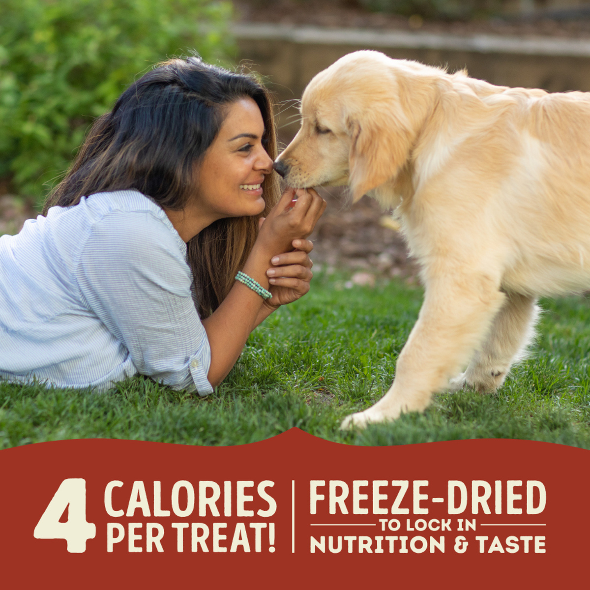 ACANA Dog - Singles Beef & Pumpkin Freeze-Dried Treats