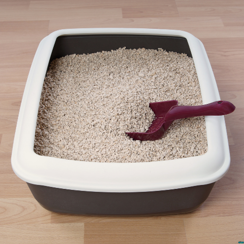 Cat Litter