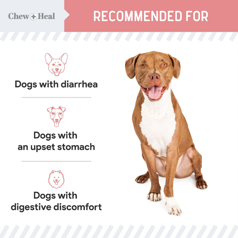 CHEW+HEAL Dog - Stop The Diarrhea 2oz