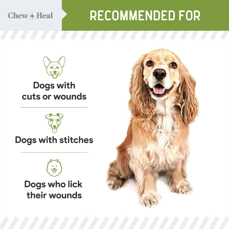 CHEW+HEAL Dog - Liquid Bandage 8oz