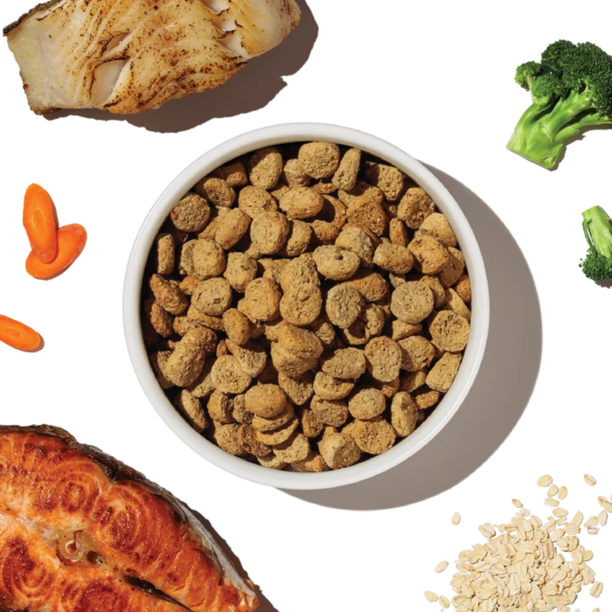 THE HONEST KITCHEN Dog - Whole Grain Salmon & Whitefish Whole Food Clusters