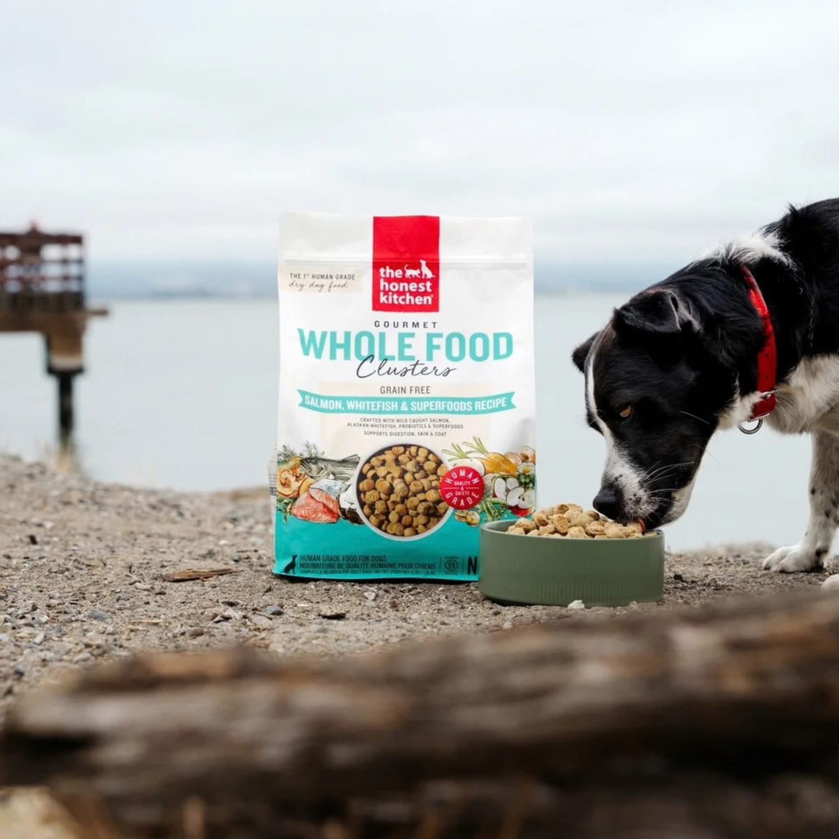 THE HONEST KITCHEN Dog - Whole Grain Salmon & Whitefish Whole Food Clusters