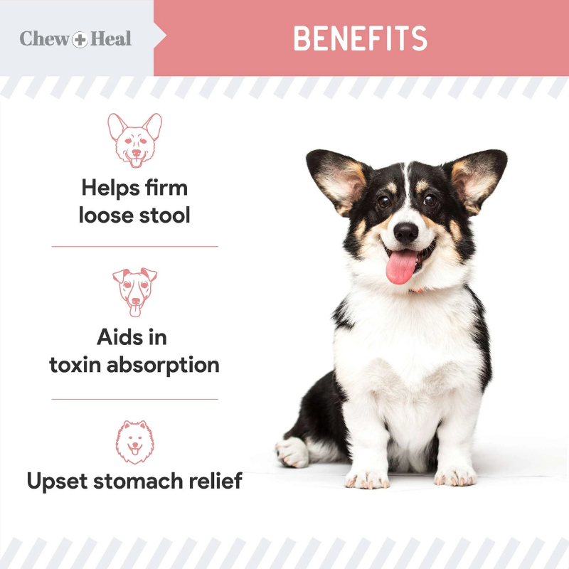 CHEW+HEAL Dog - Stop The Diarrhea 2oz