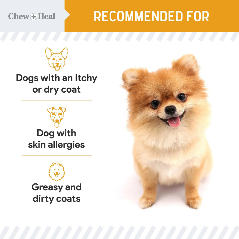 CHEW+HEAL Dog - Norwegian Salmon Oil 8oz