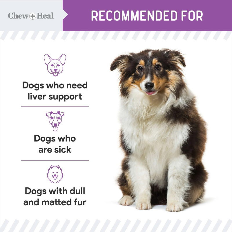 CHEW+HEAL Dog - Milk Thistle 2oz