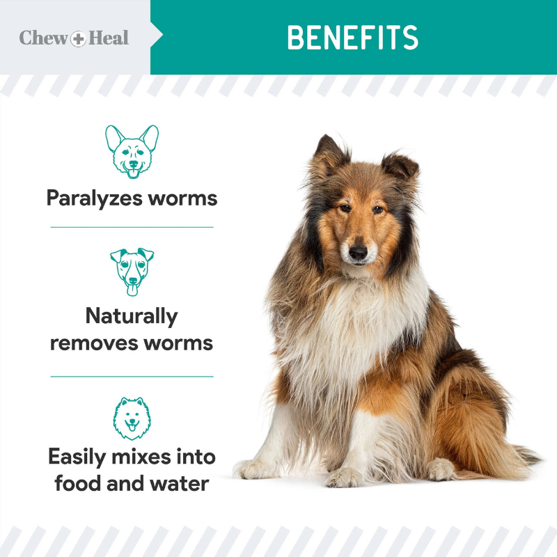CHEW+HEAL Dog & Cat - Stop The Worms 4oz