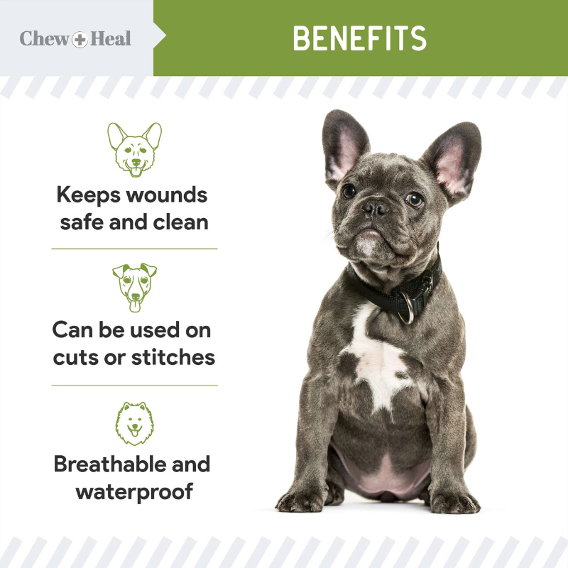 CHEW+HEAL Dog - Liquid Bandage 8oz