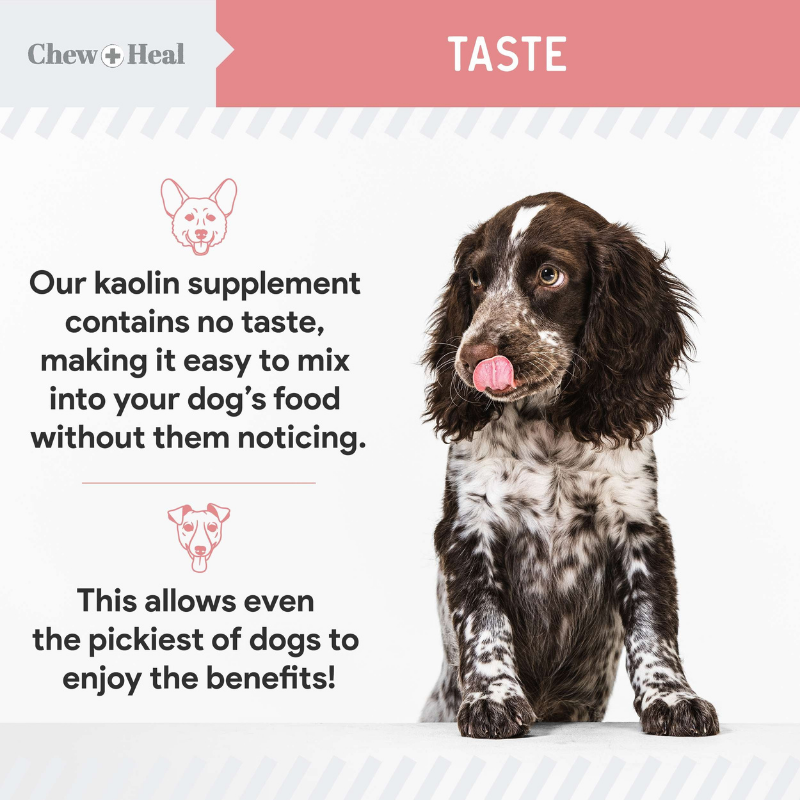 CHEW+HEAL Dog - Stop The Diarrhea 2oz