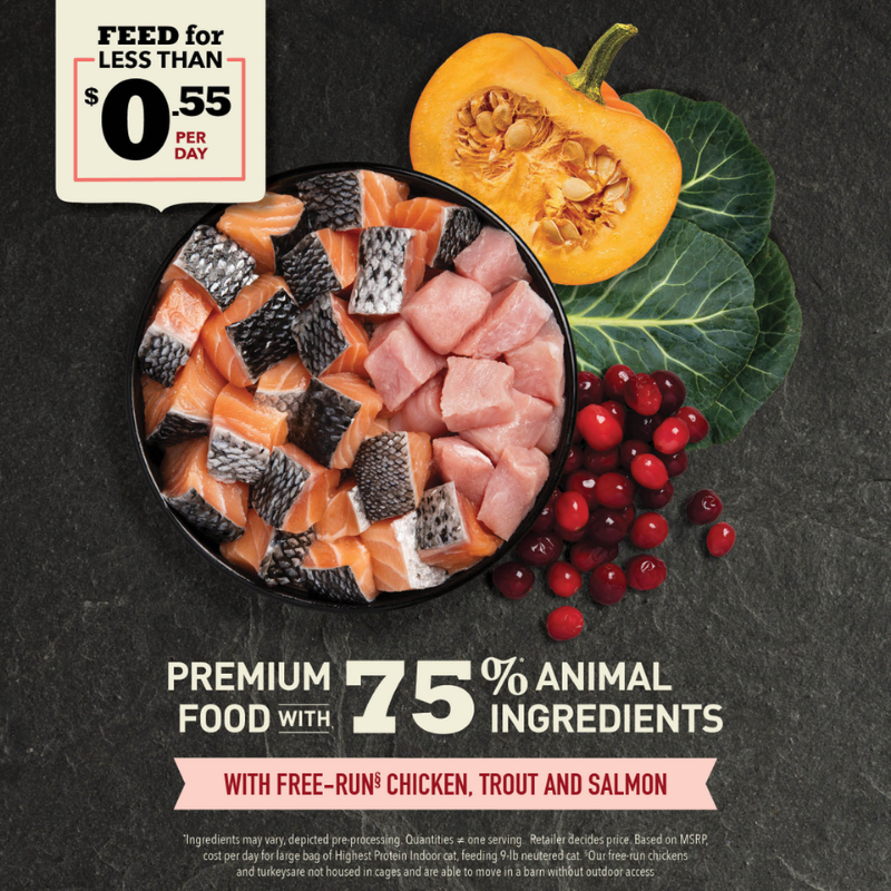 Furville Cat Acana Indoor Recipe