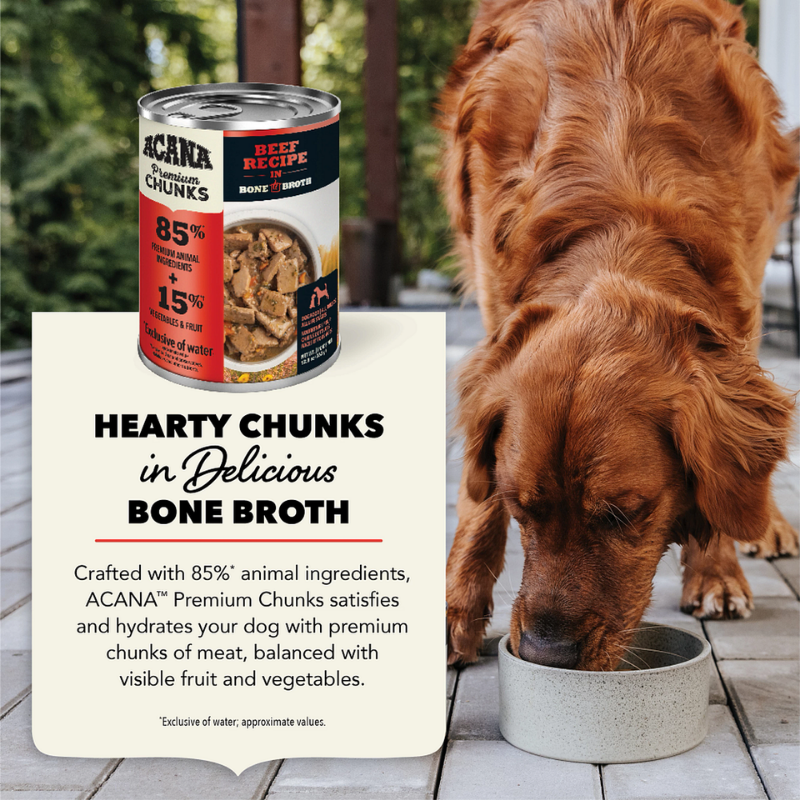Furville Dog Can Beef Recipe