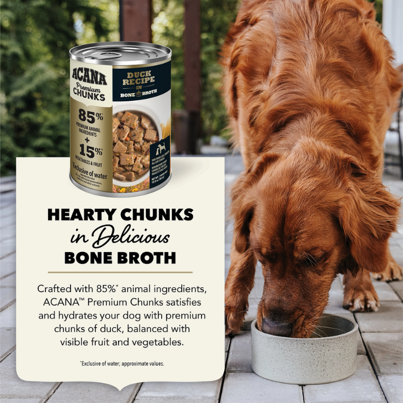 Furville Dog Can Duck Recipe 