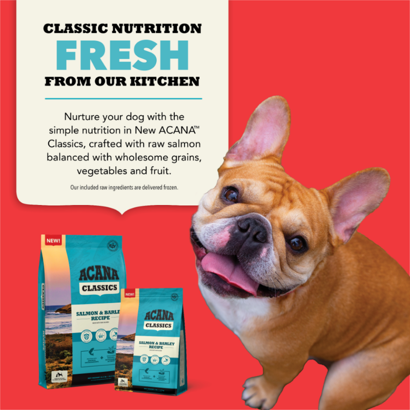 Furville Clean Dog kibble Acana Salmon