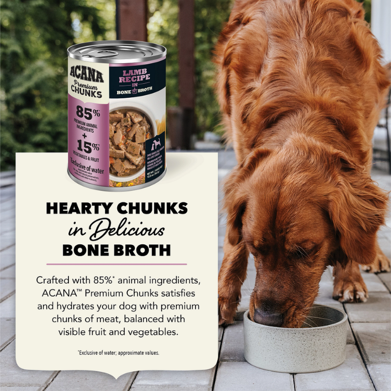 Furville Dog Can Chunks Lamb Recipe
