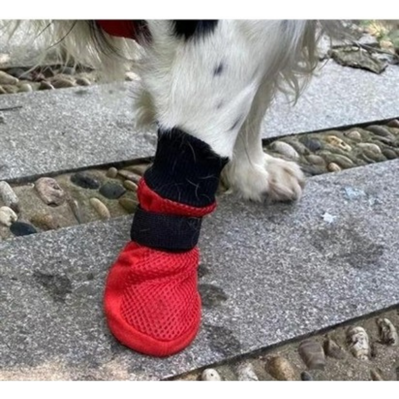 ALL DOG BOOTS Meshies Boots