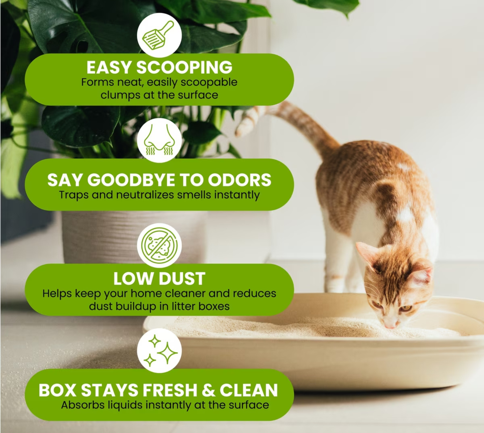 Furville Pet Suppies is a local pet store in Roxborough that carries health conscious pet food.