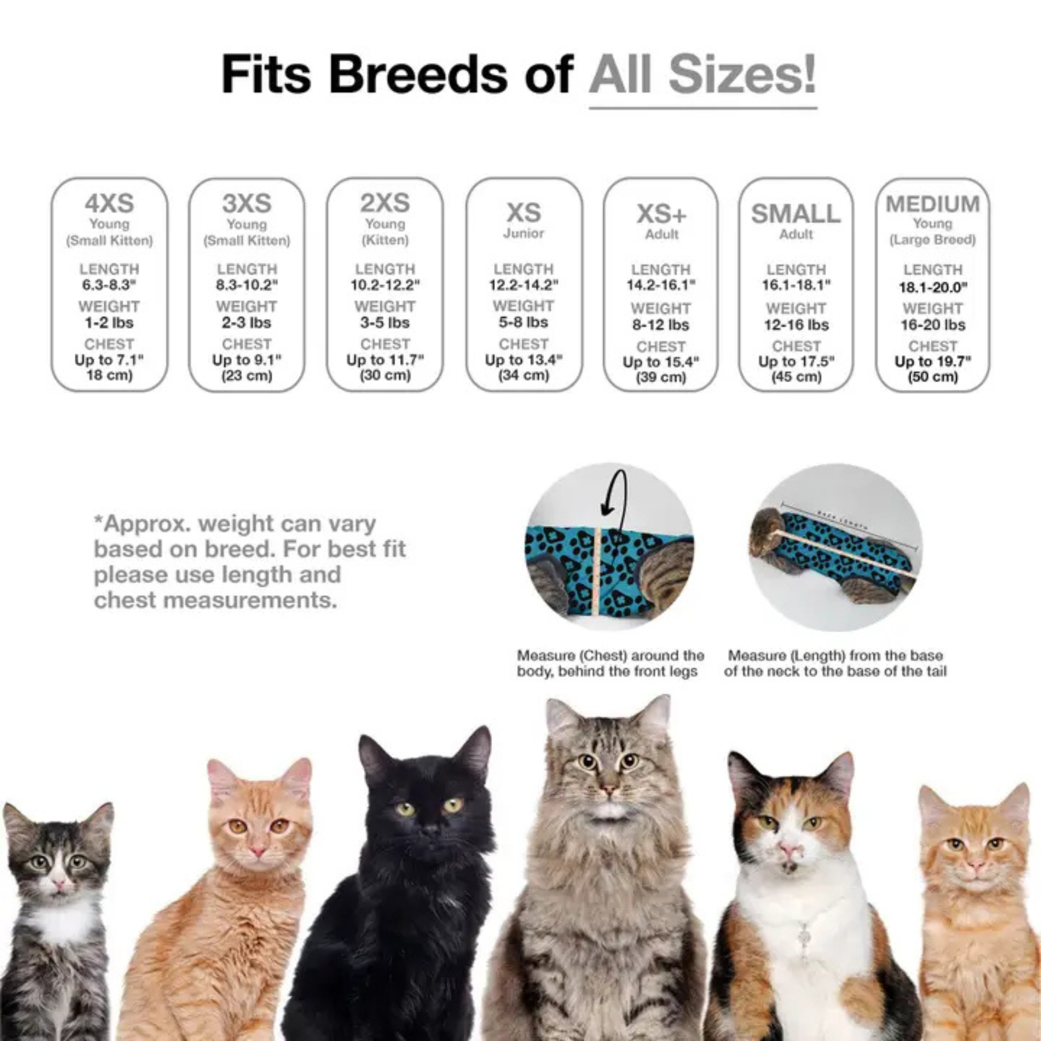 Furville is local pet ship inb Roxborough that carries health conscious products for pets. Same day delivery and fast shipping is also offered. 
