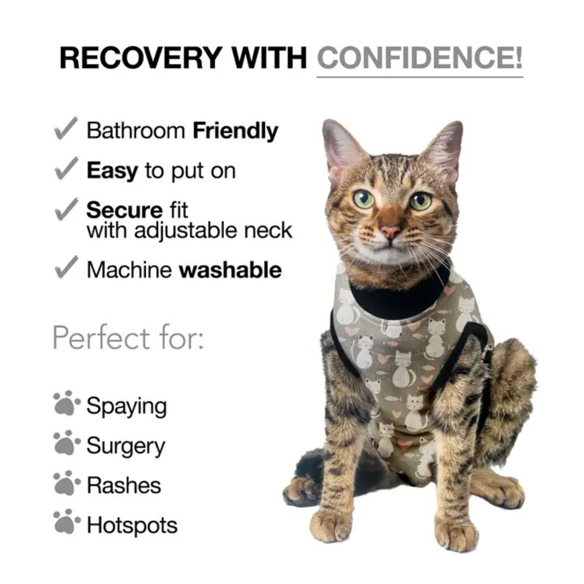 Furville is local pet ship inb Roxborough that carries health conscious products for pets. Same day delivery and fast shipping is also offered. 