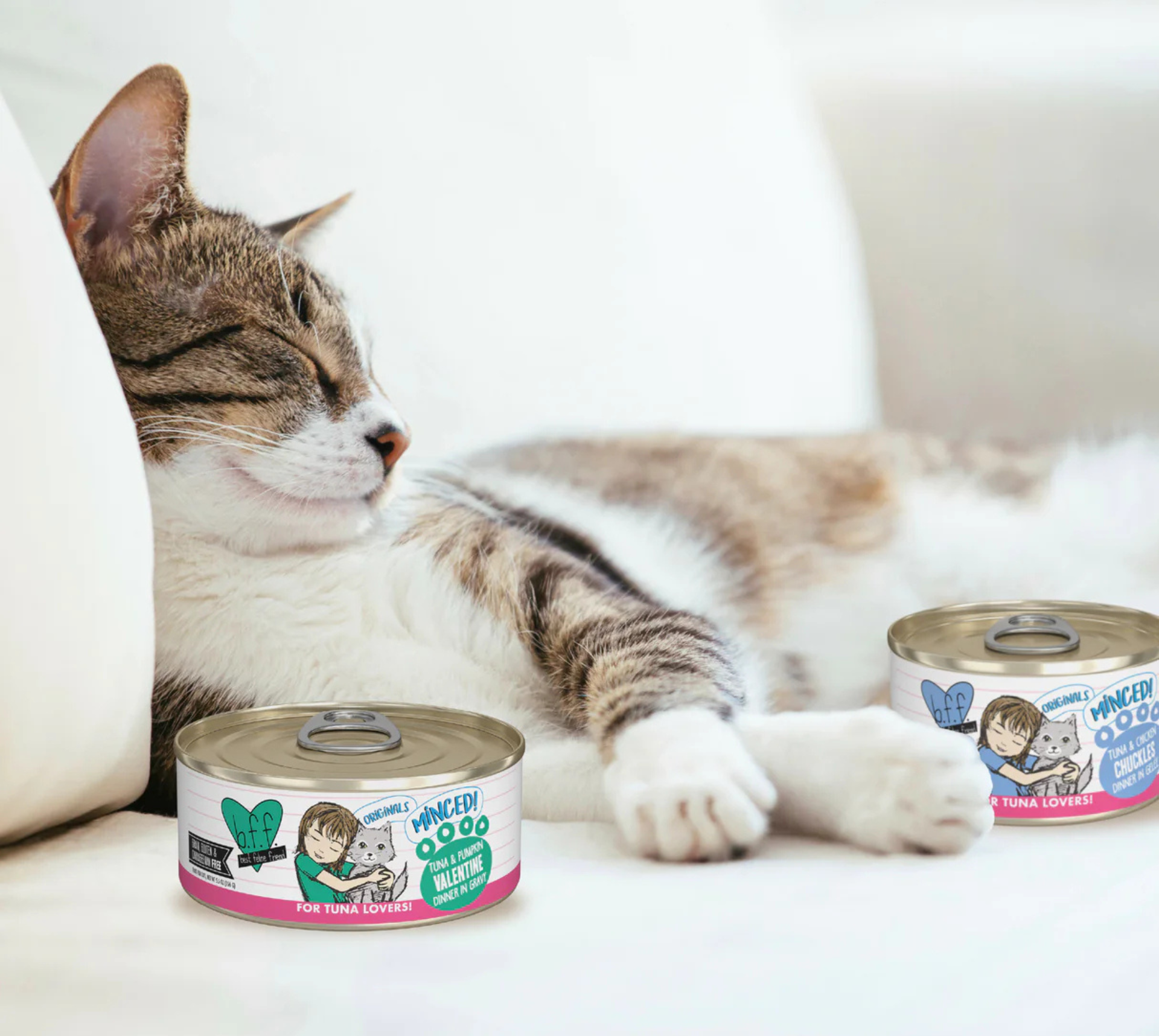 Furville is local pet ship inb Roxborough that carries health conscious products for pets. Same day delivery and fast shipping is also offered.