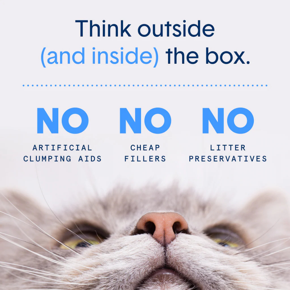 Furville Pet Supplies is a local pet store in Roxborough that carries health-conscious pet food.