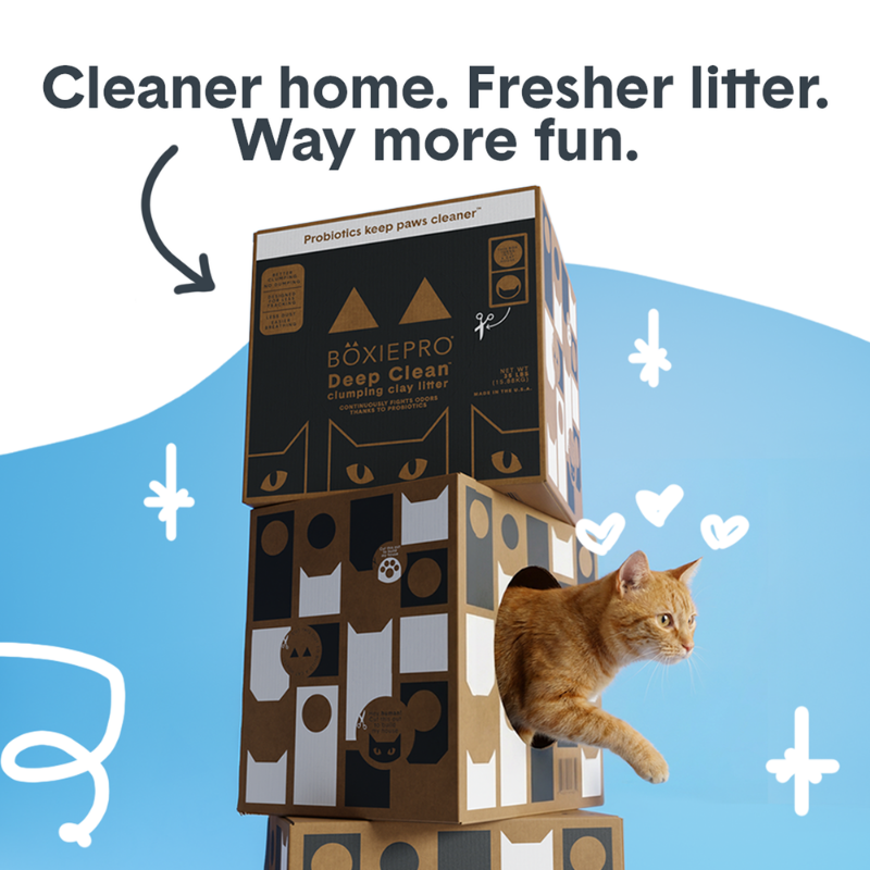 Furville Robot Box Litter