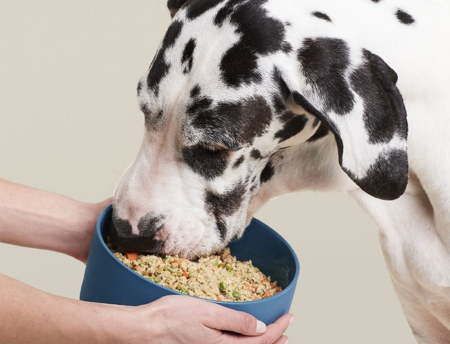 Furville Pet Supplies