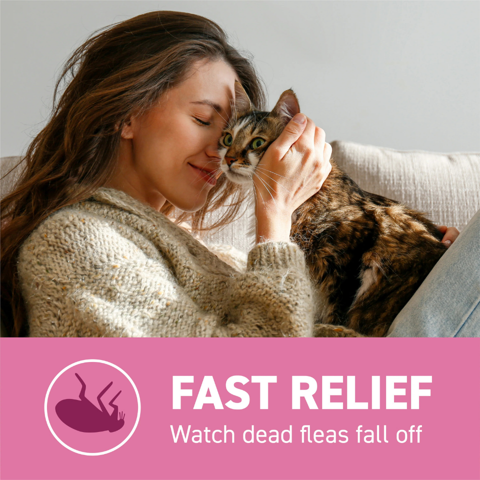 Furville Pet Supplies is a local pet store in Roxborough that carries health-conscious pet food.