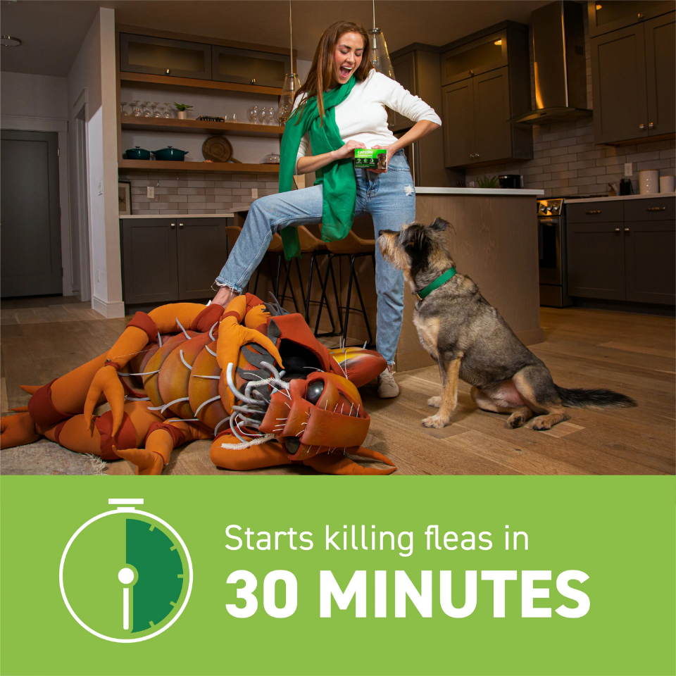 Furville Pet Supplies is a local pet store in Roxborough that carries health-conscious pet food.