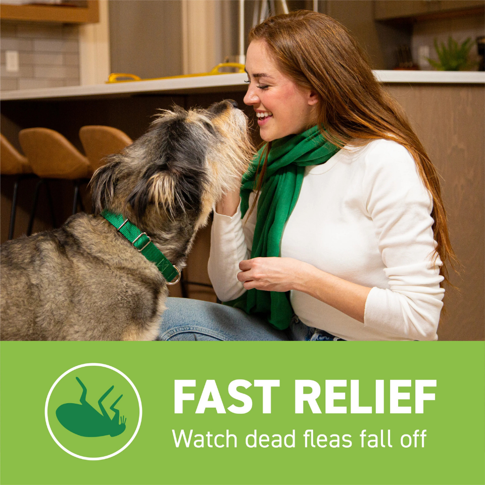 Furville Pet Supplies is a local pet store in Roxborough that carries health-conscious pet food.