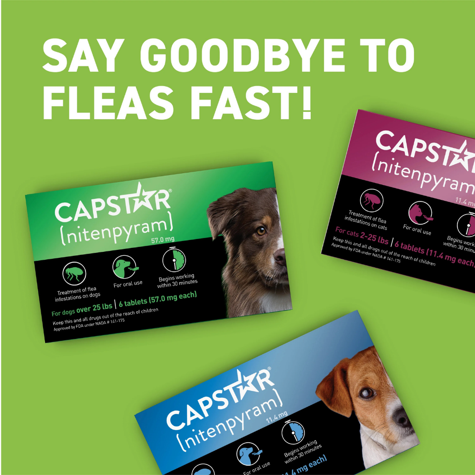 Furville Pet Supplies is a local pet store in Roxborough that carries health-conscious pet food.