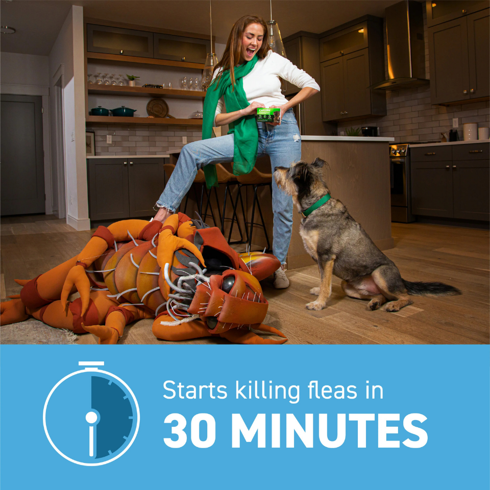 Furville Pet Supplies is a local pet store in Roxborough that carries health-conscious pet food.