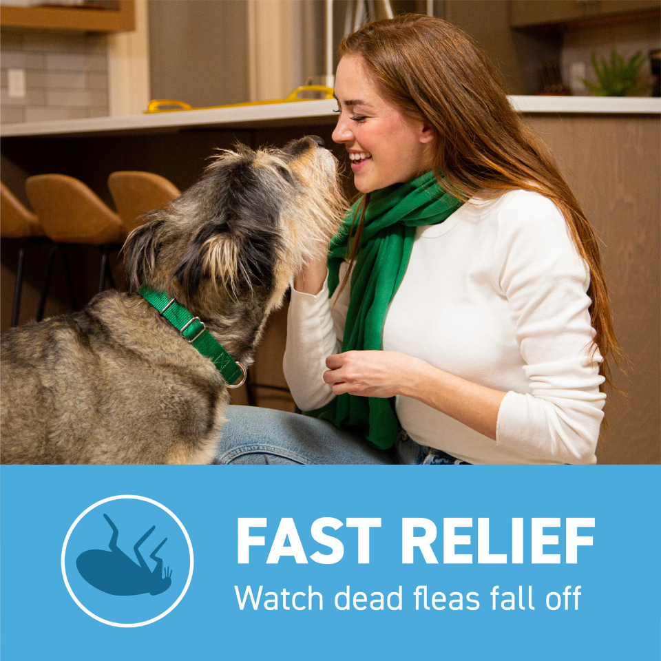 Furville Pet Supplies is a local pet store in Roxborough that carries health-conscious pet food.